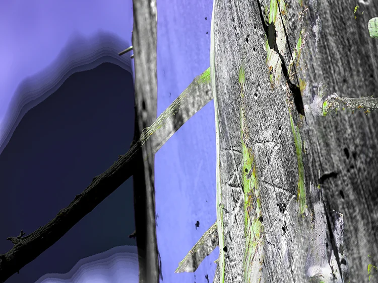 장인경 · Hidden Forest Story